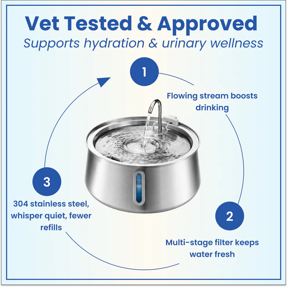 Dog Water Fountain Filter