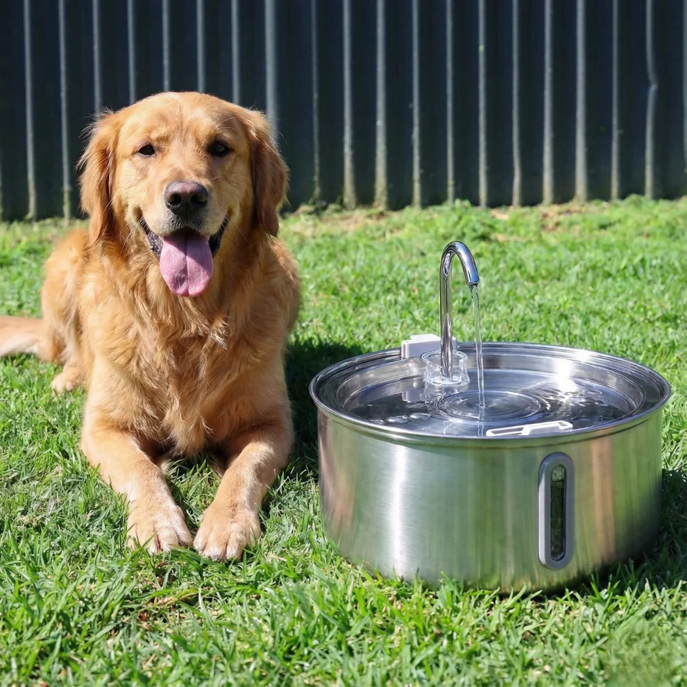 Dog Water Fountain Filter